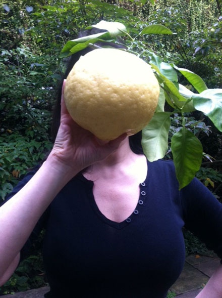 Giant Lemon