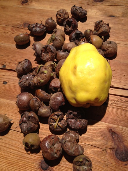 Quince and Medlars