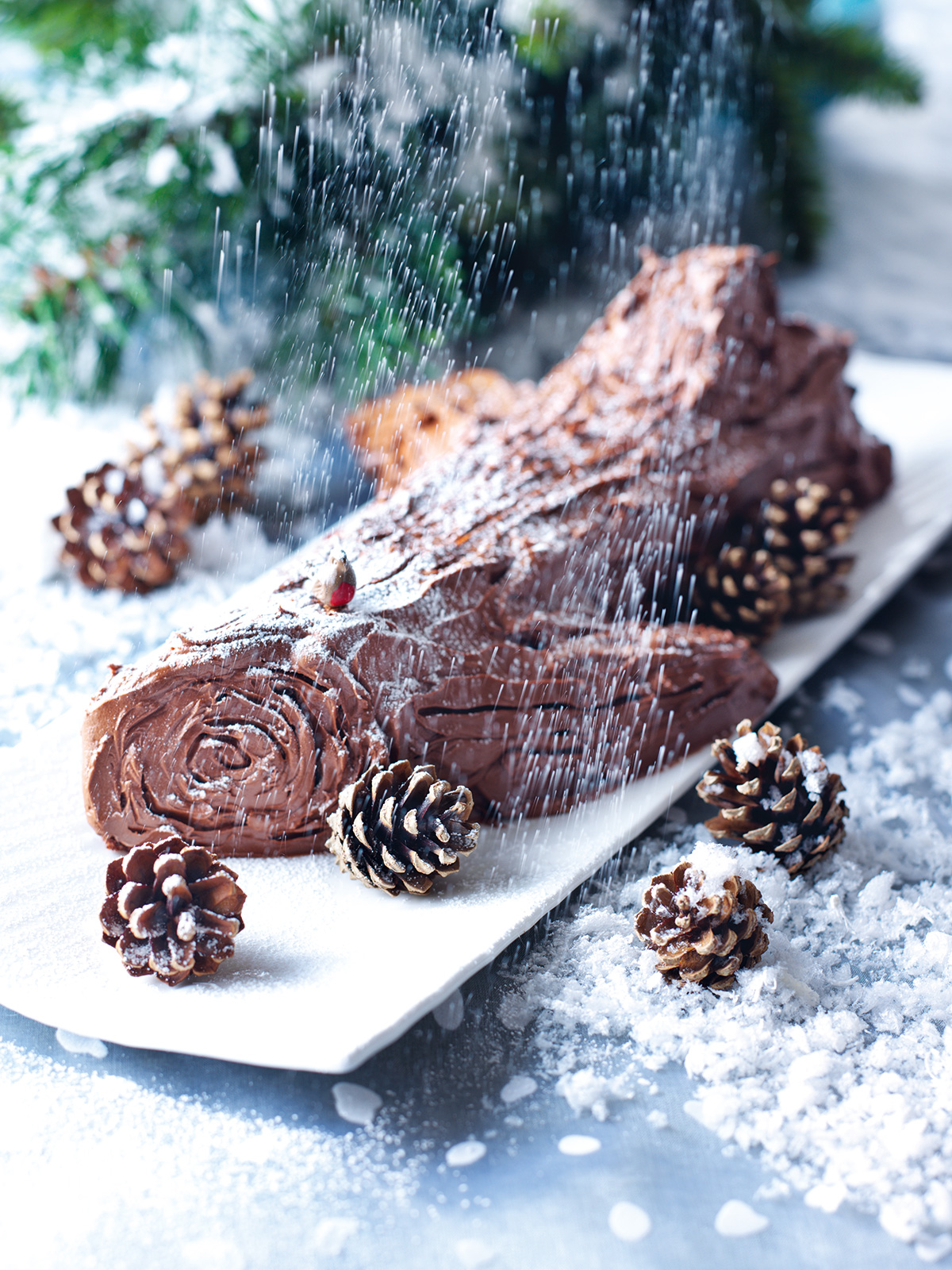 Chocolate Yule Log (Christmas Roll) with Chocolate Rocher Glaze