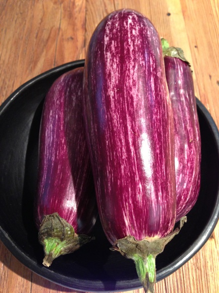 Aubergine Graffitti