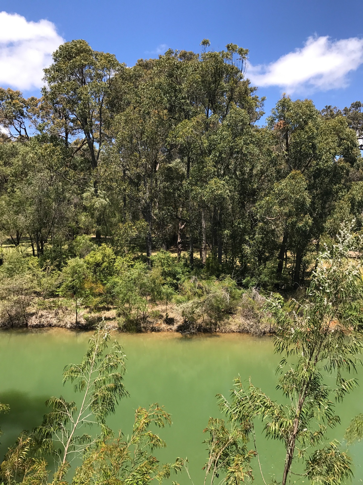 Image of Cape Lodge view from Margaret River Gourmet Escape