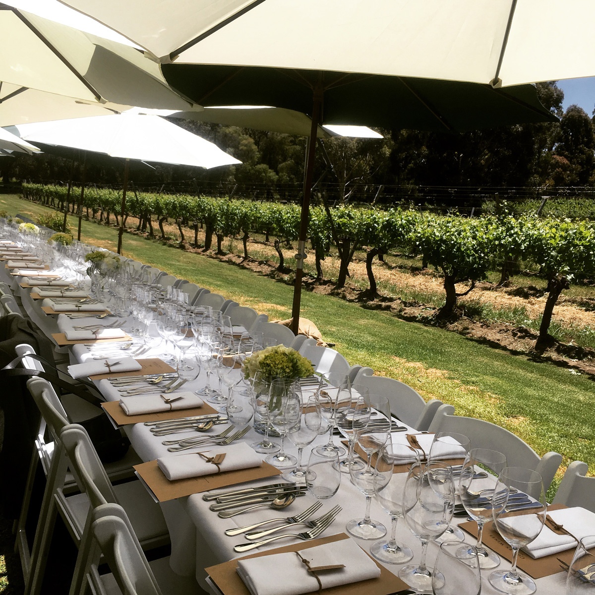 Image of Cullen Winery from Margaret River Gourmet Escape