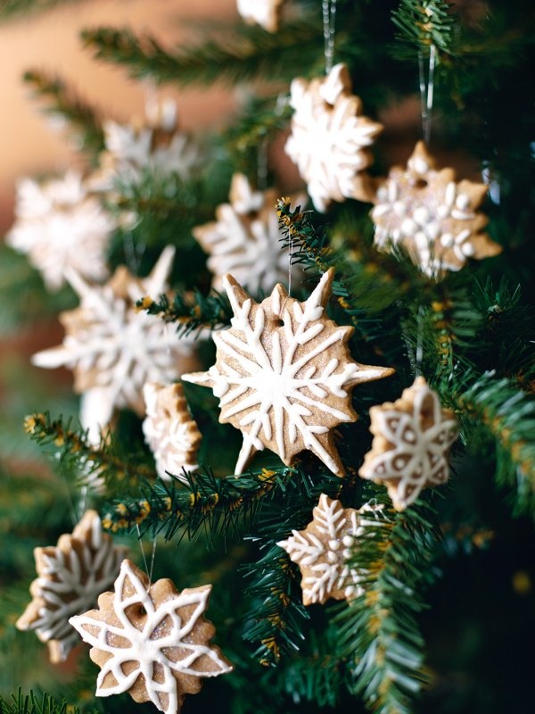 Image of Nigella's Edible Christmas Decorations
