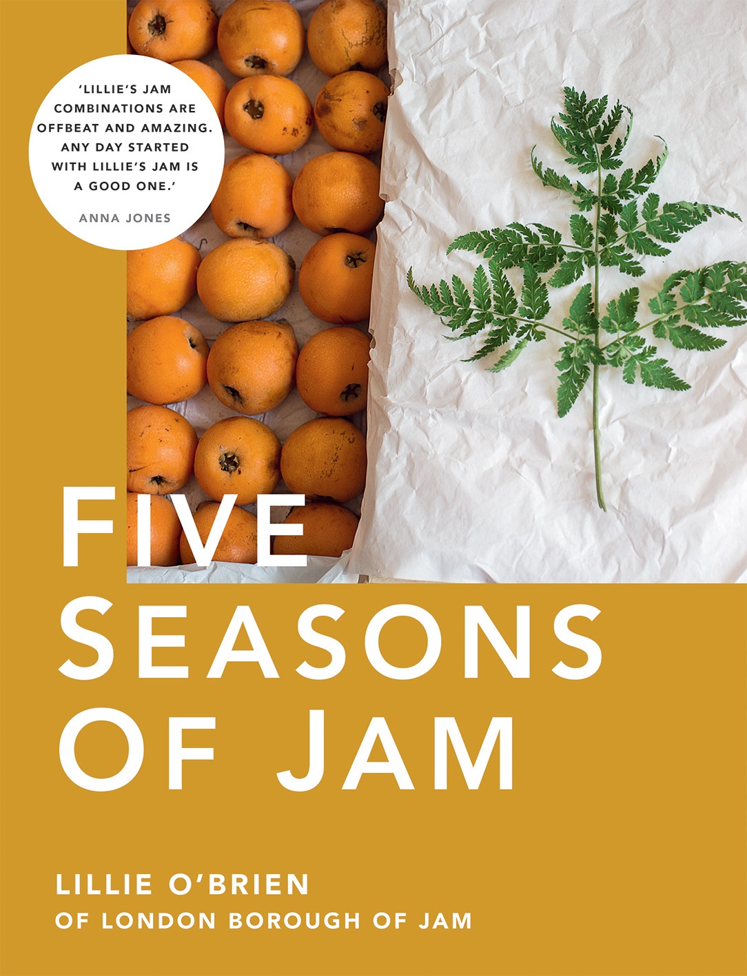 Book cover of Five Seasons Of Jam by Lillie O'Brien