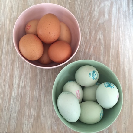 Beautiful eggs in beautiful bowls