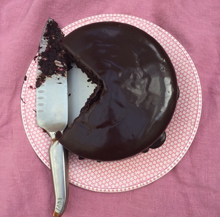 Chocolate Cake on a paper plate