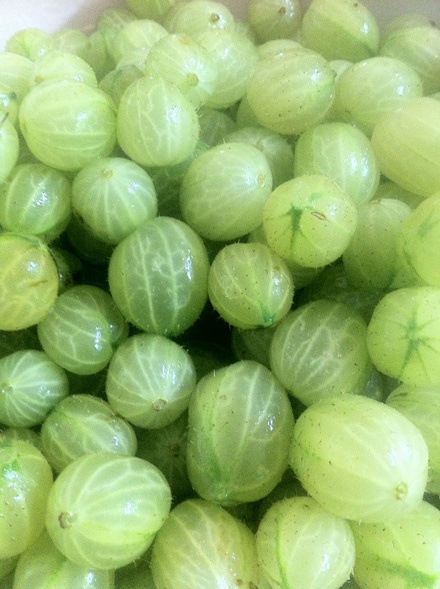 Gooseberries