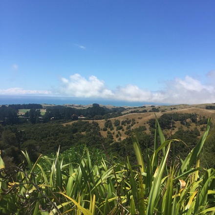 Hawkes Bay in New Zealand