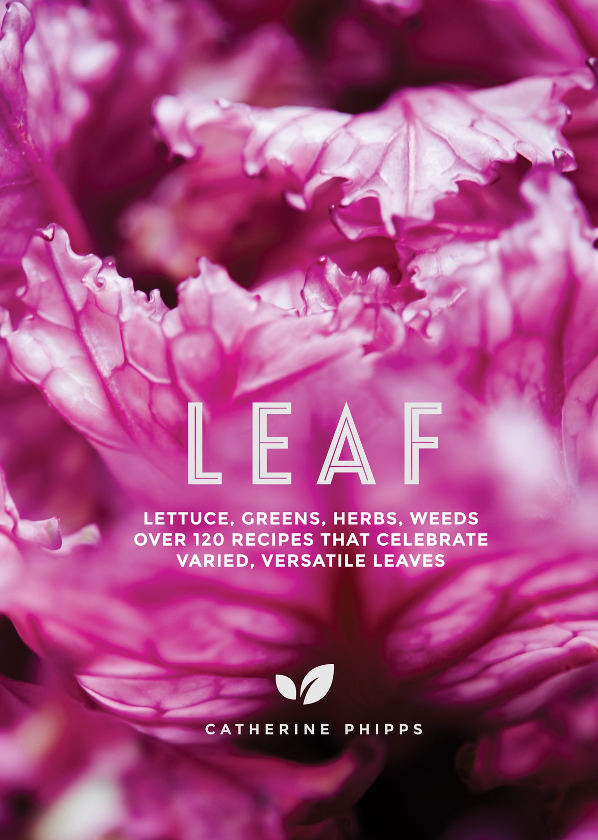 Book cover of Leaf by Catherine Phipps