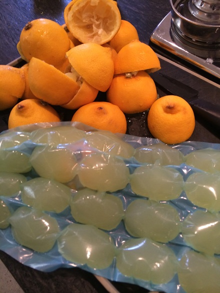 Lemon Ice Cubes