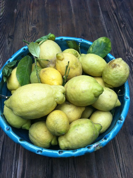 Lemons in bowl