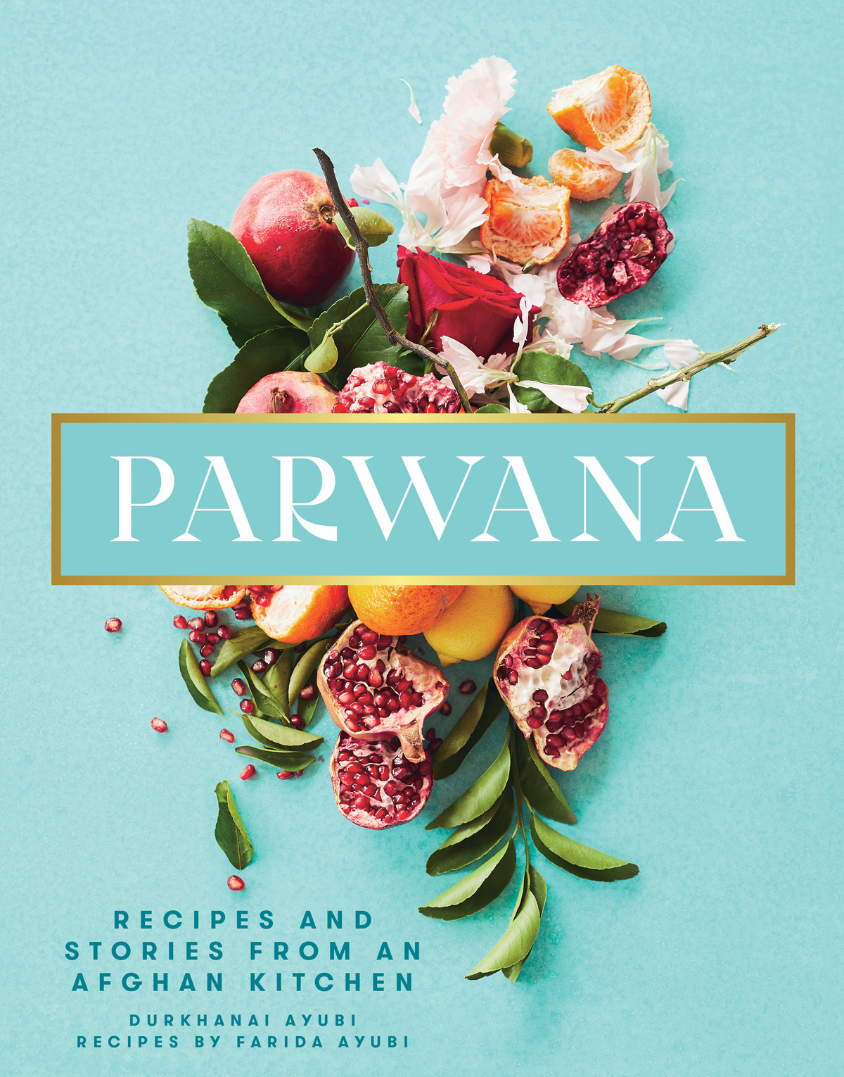 Book cover of Parwana by Durkhanai Ayubi