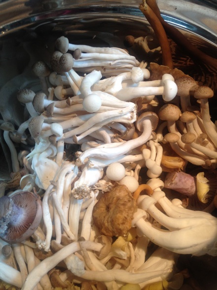 Assorted raw mushrooms