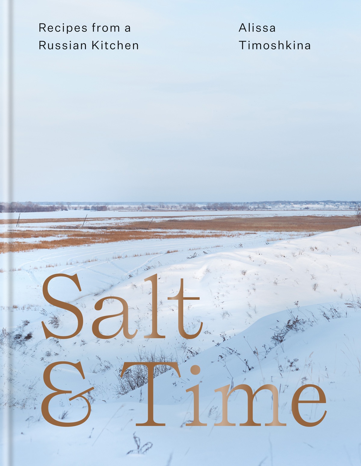 Book cover of Salt & Time by Alissa Timoshkina