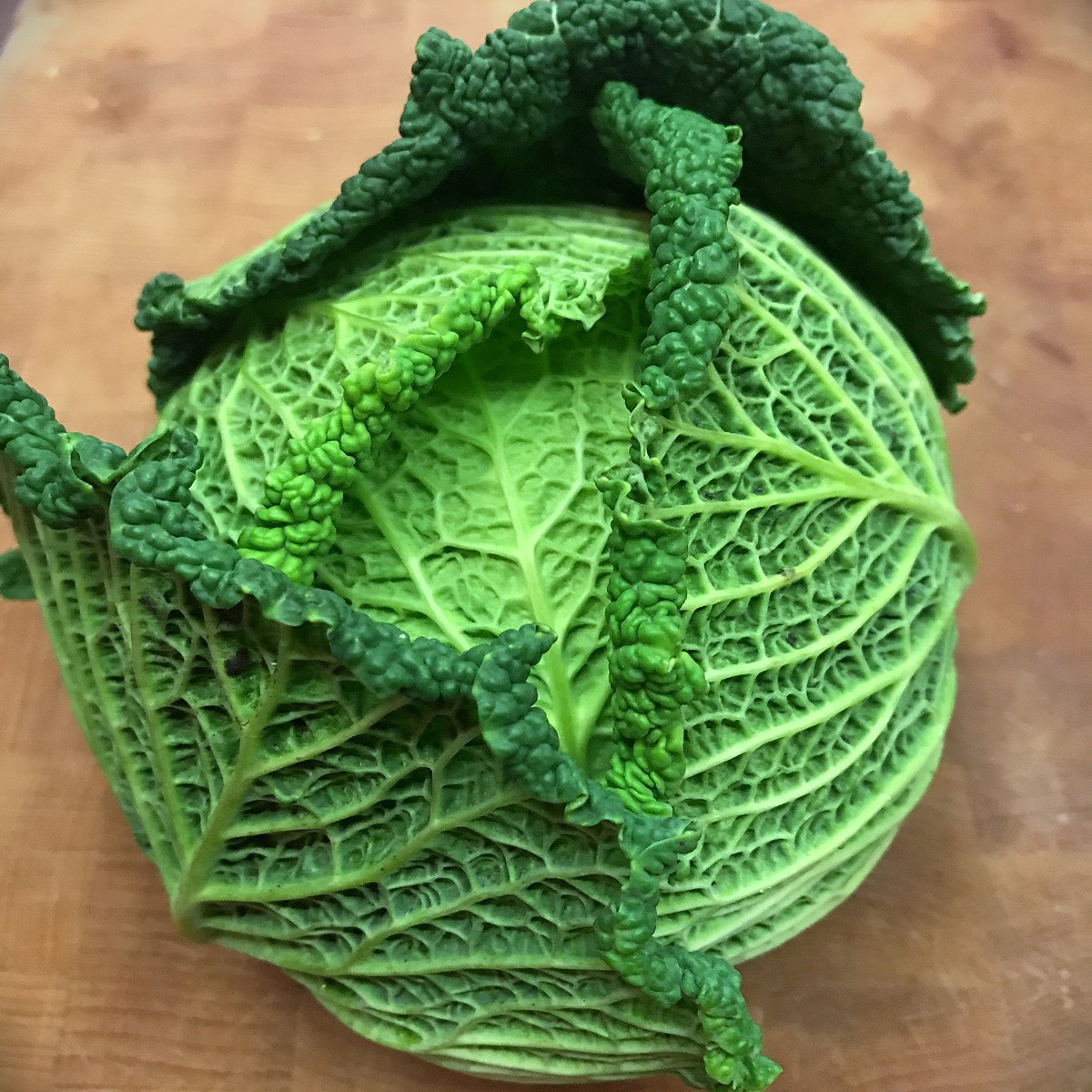 Savoy Cabbage
