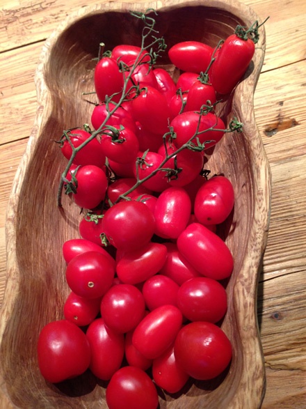 Tomatoes In Pig