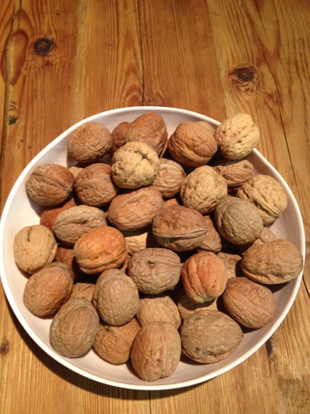 Bowl of Walnuts