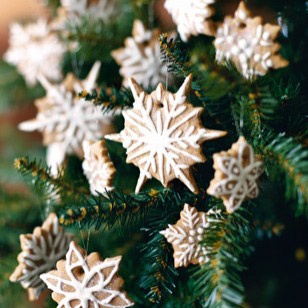 Edible Christmas Decorations