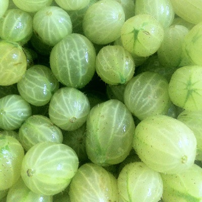 Gooseberries