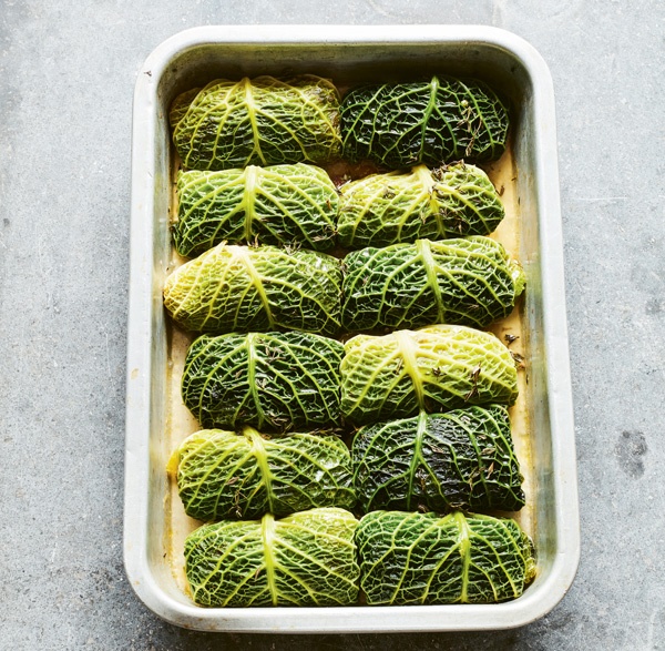 Image of Catherine Phipps' Stuffed Savoy Cabbage Leaves