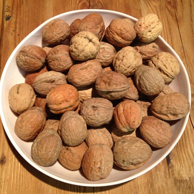 Bowl of Walnuts