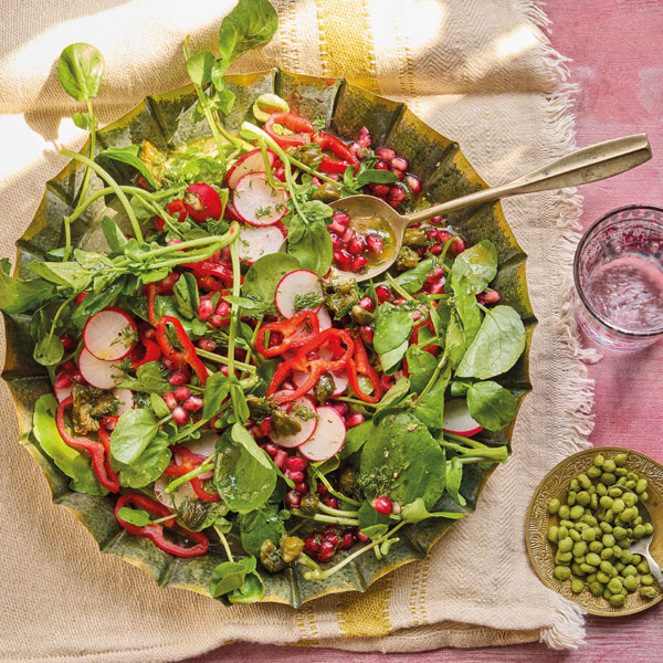 Image of Pary Baban's Watercress, Radish and Pomegranate Salad