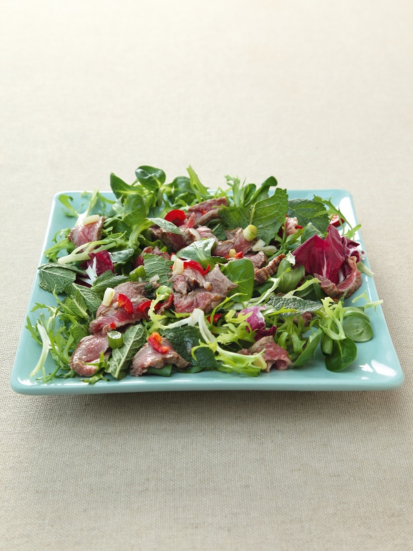 Cambodian Hot and Sour Beef Salad