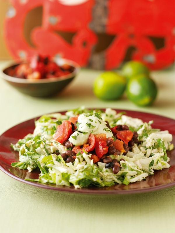 Mexican Chicken or Turkey Salad With Tomato and Black Bean Salsa