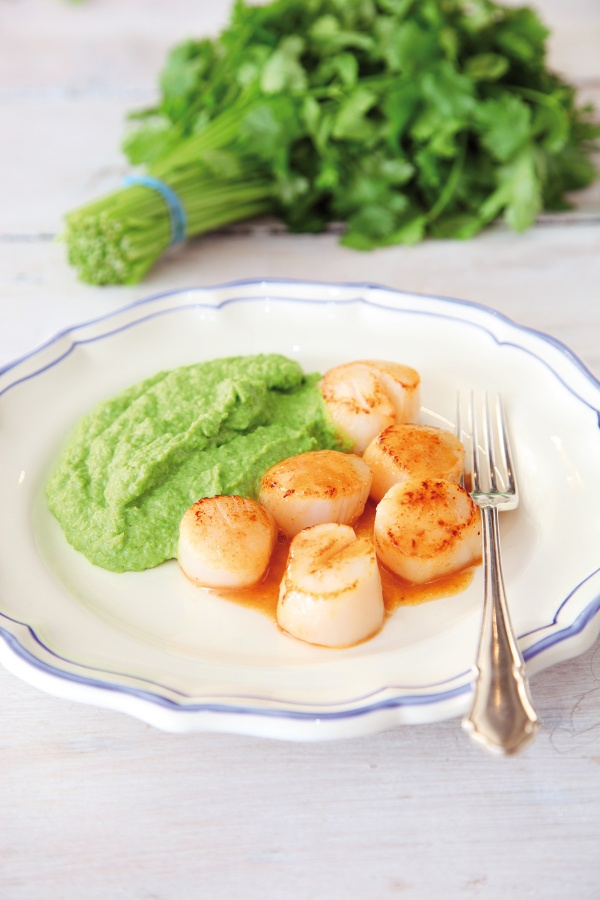 Scallops With Thai Scented Pea Puree