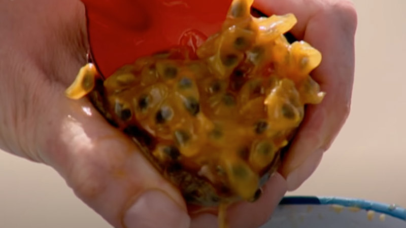 Nigella's White Chocolate & Passion Fruit Mousse